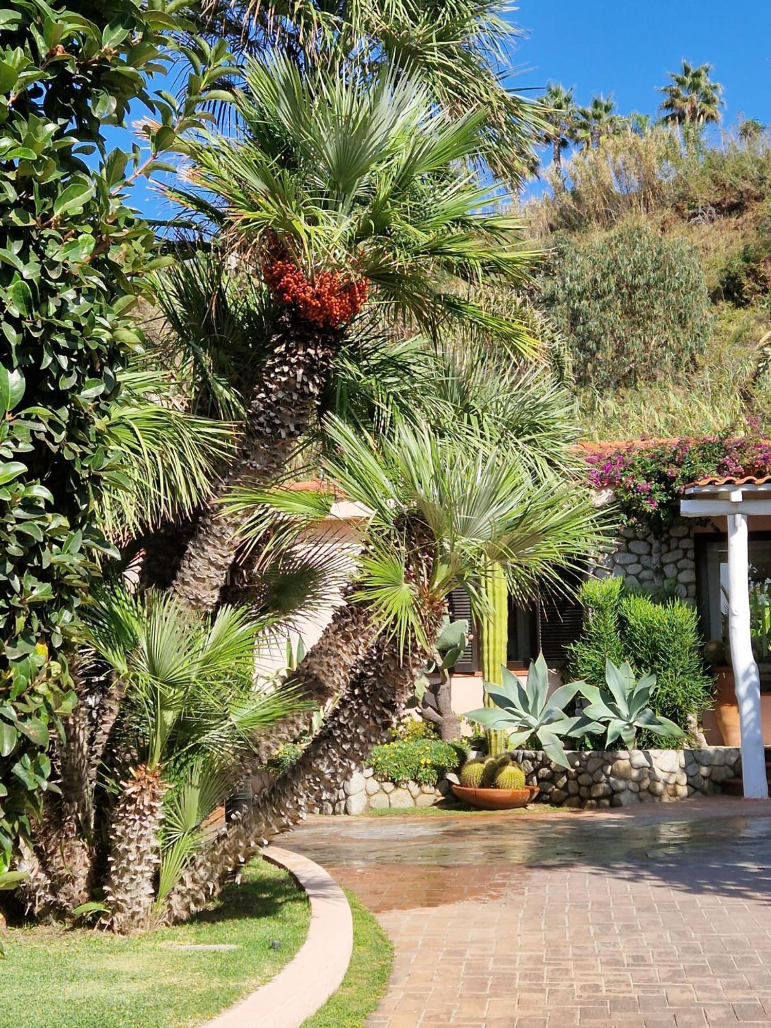 Hotel Villaggio Cala Di Volpe Capo Vaticano Esterno foto