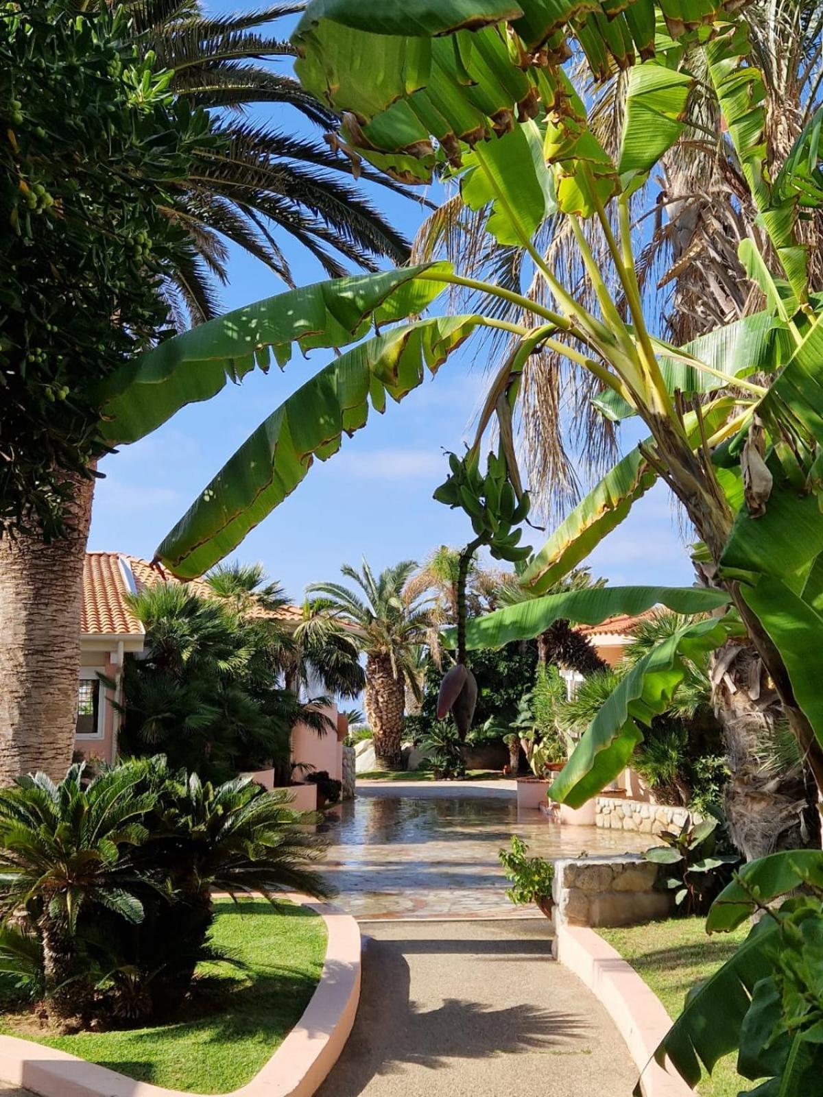 Hotel Villaggio Cala Di Volpe Capo Vaticano Esterno foto